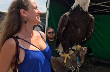 meeting a bald eagle meeting a bald eagle