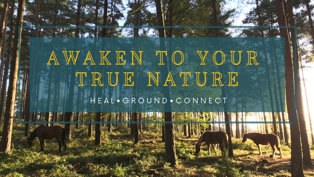 awaken to your true nature